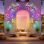 Beculete Sub Forma De Brad