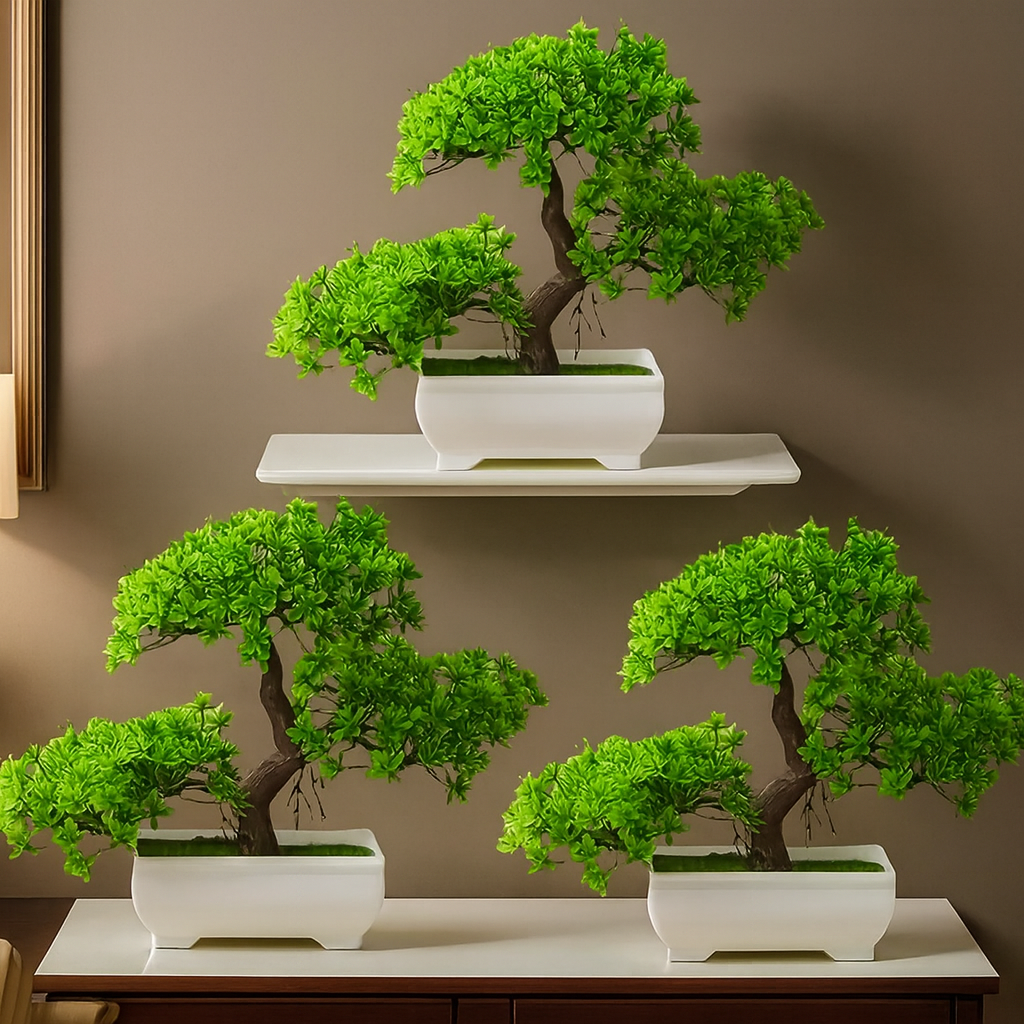 Bonsai in Ghiveci